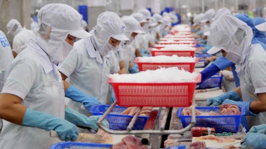 Pangasius exports skyrocket by 81% over 10 months