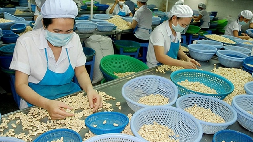 Vietnam and West Africa seek greater cashew export – processing cooperation