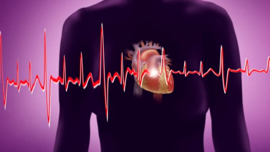 Quá trình lão hóa khiến nguy cơ mắc bệnh tim tăng lên?