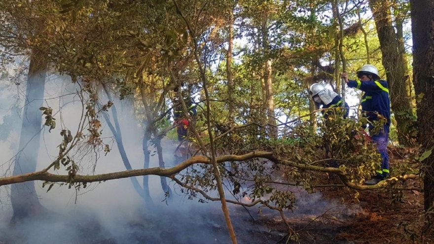 Rừng ở Sóc Sơn, Hà Nội bốc cháy dữ dội, 355 người leo núi dập lửa