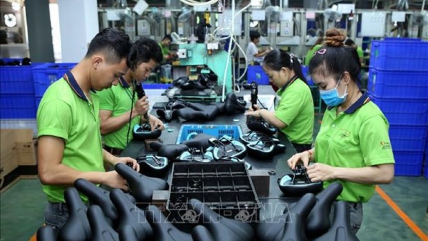 Int’l experts, organisations believe in Vietnam's sustainable growth potential