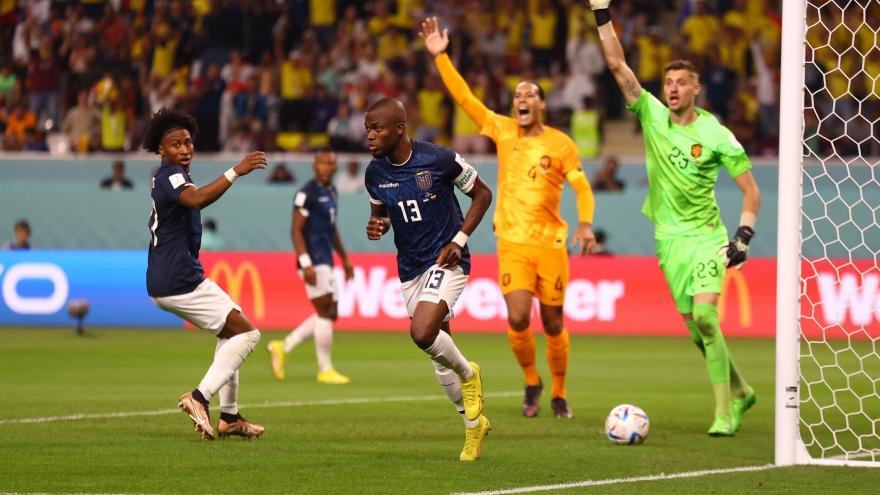 Dự đoán kết quả World Cup 2022 cùng BLV: Hà Lan và Ecuador sẽ đi tiếp tại bảng A