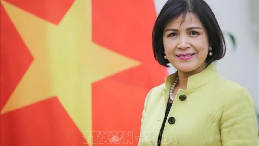 Vietnam hopes for further support from ILO: ambassador