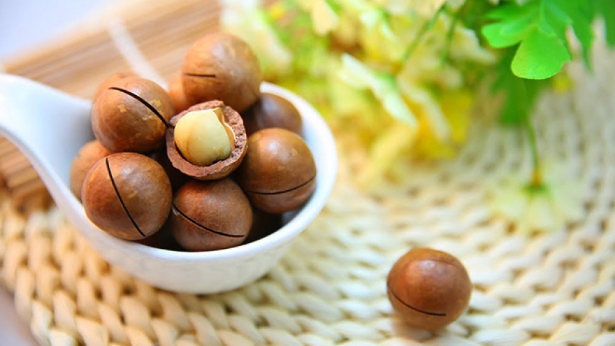 First batch of macadamia nuts exported to Japan