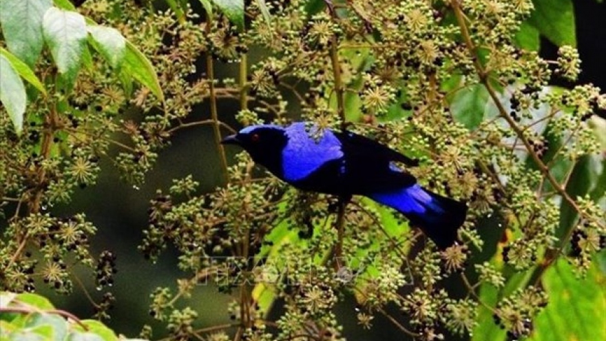 Meeting helps finalise strategy for species conservation