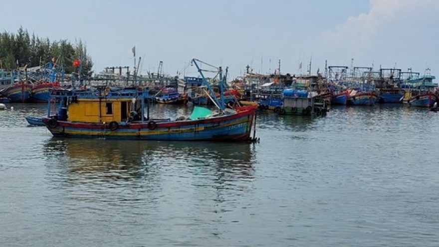 Vietnam works hard to prevent fishing vessels' infringement of foreign waters