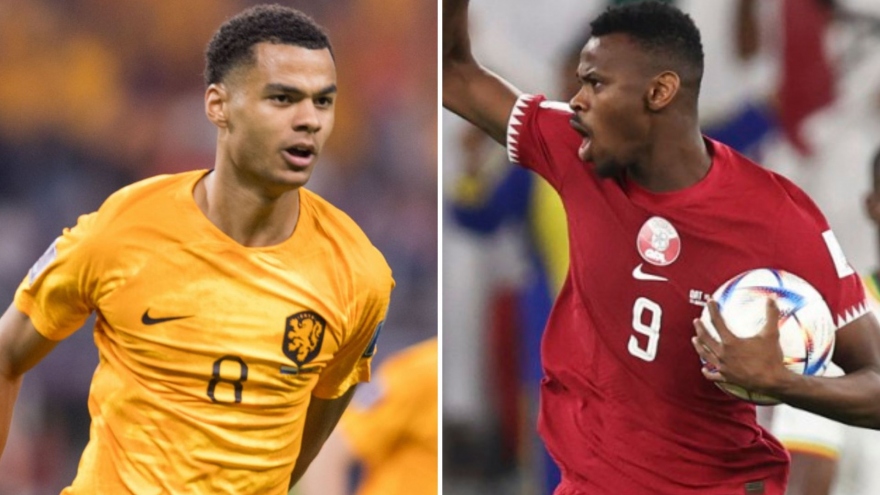 Link xem trực tiếp bóng đá Hà Lan vs Qatar, 22h ngày 29/11