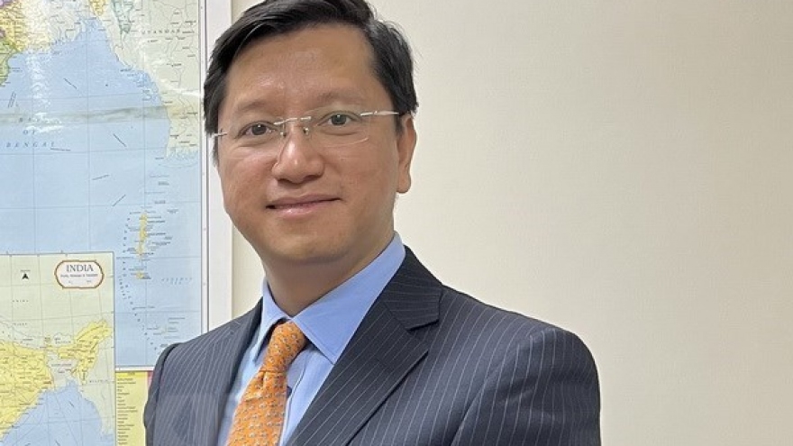 Vietnamese, Indian parties look to promote traditional relations