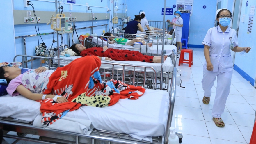 Dengue fever cases in Hanoi exceed warning level