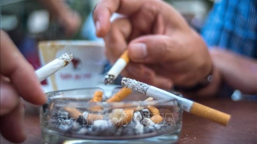 Workshop seeks measures to minimise tobacco use