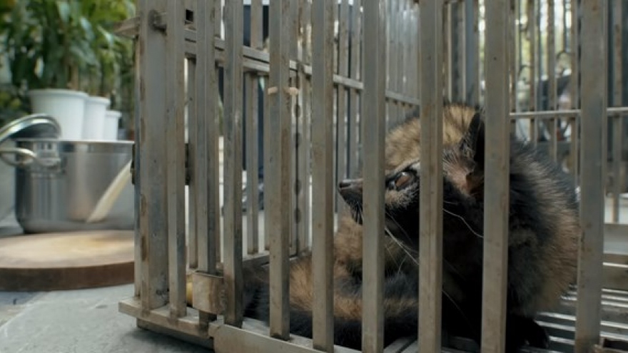 ENV film warns of health risks from wildlife consumption