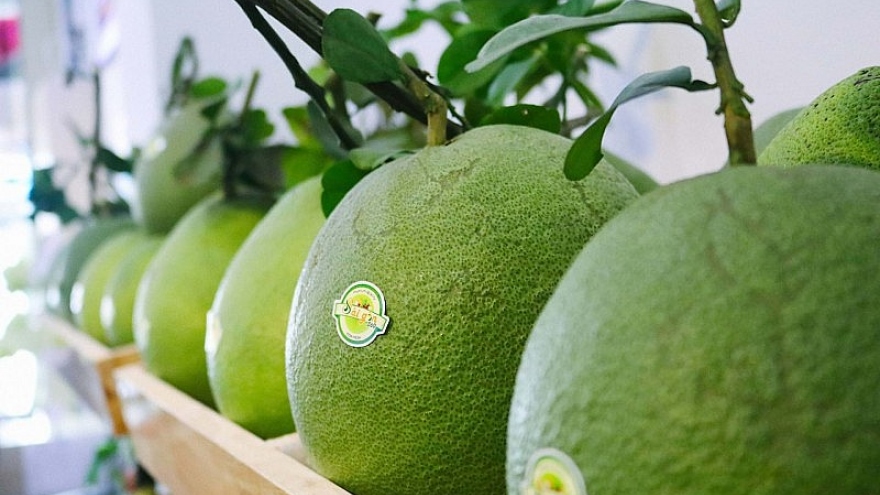 First batch of pomelo officially shipped to US market