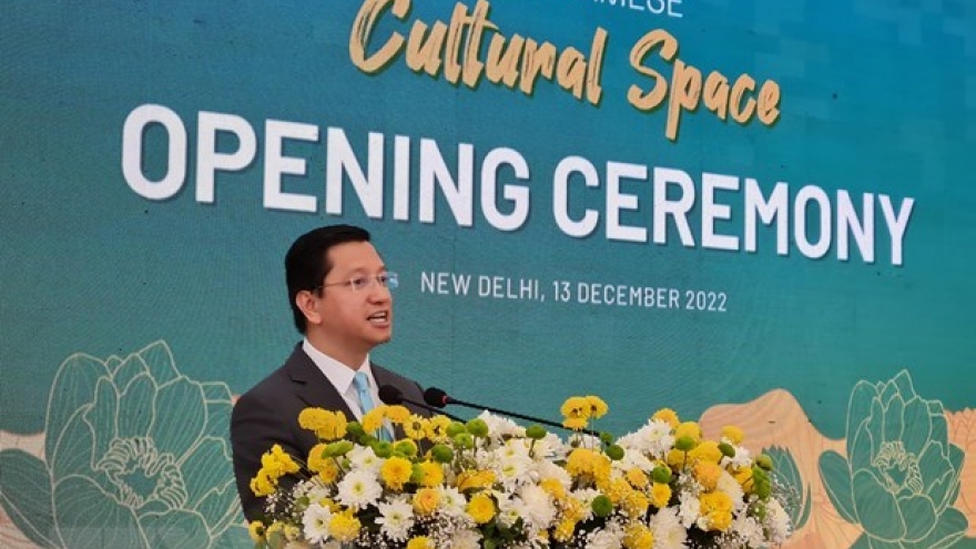 Forum promotes Vietnam’s tourism in India