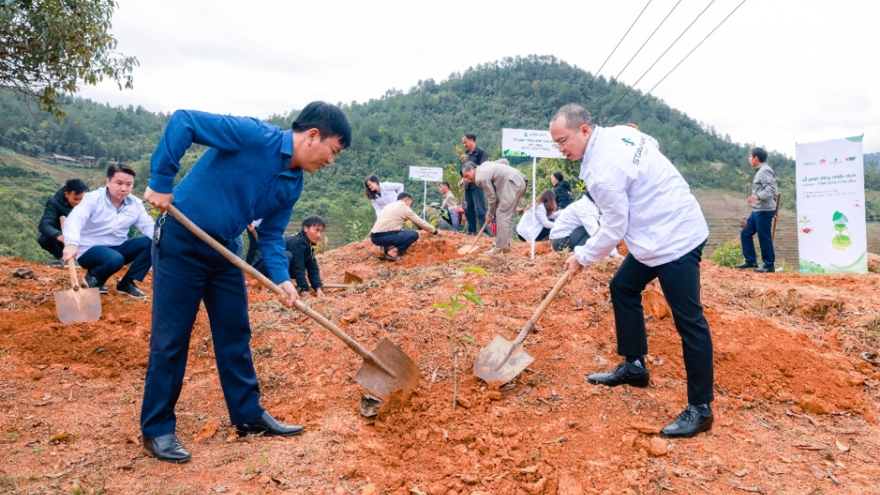 Phát động chiến dịch “Stavian - Trồng rừng Vững sống”