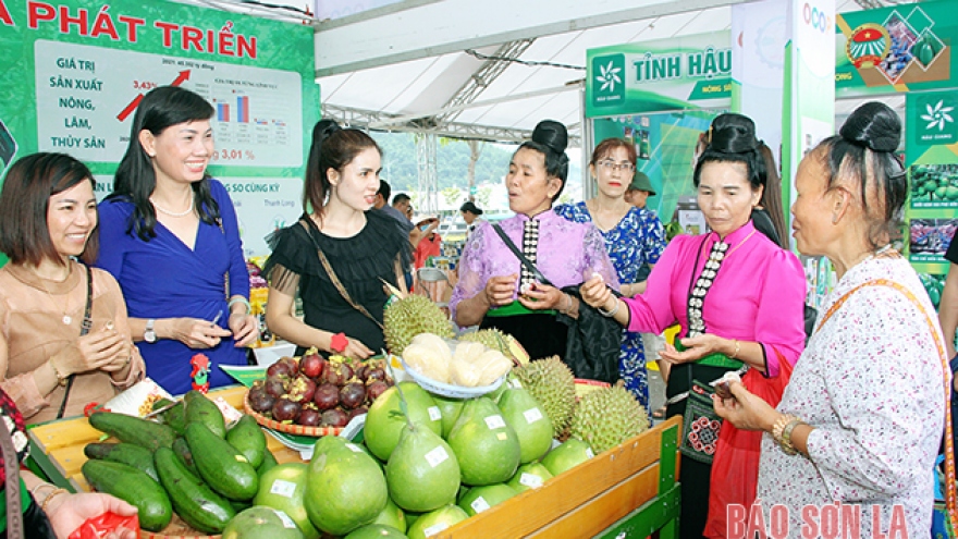 Sơn La hội tụ và phát triển