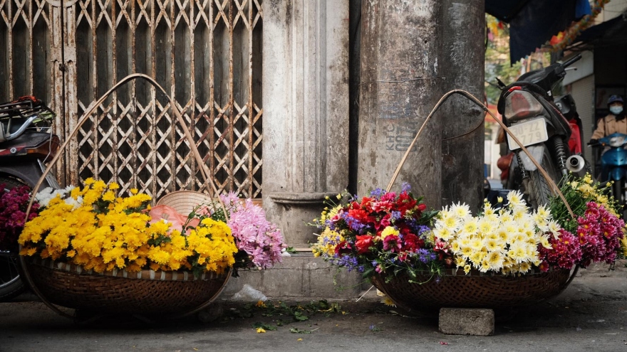 Phố phường Hà Nội rực rỡ sắc màu với những gánh hàng hoa
