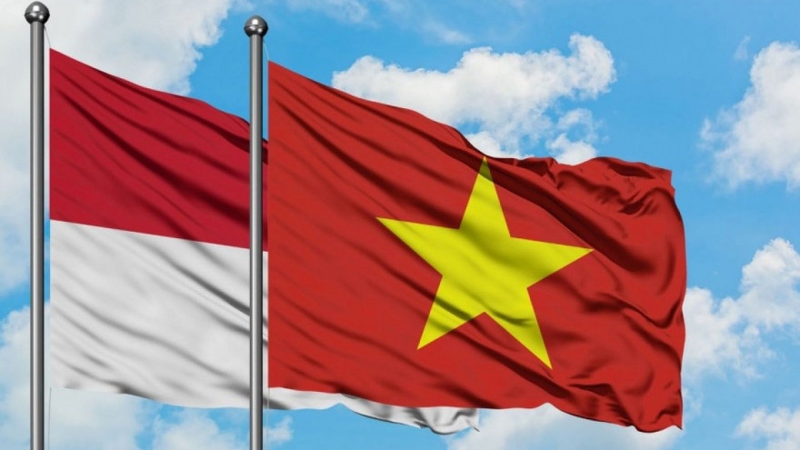 Vietnam, Indonesia can work together to become regional economic locomotives 