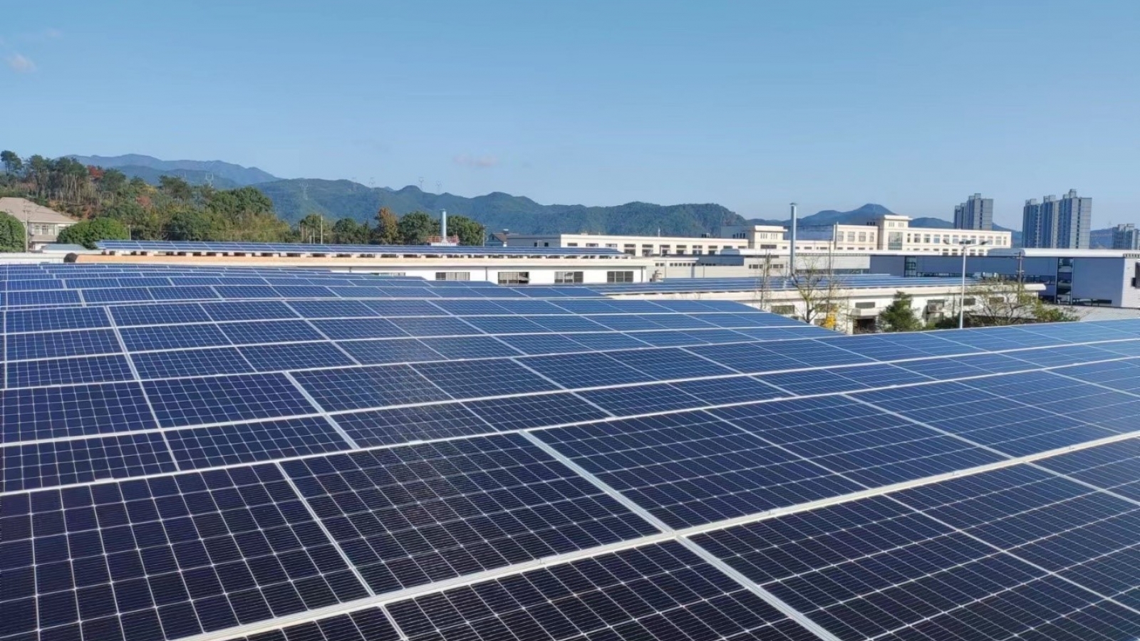 IMC hợp tác cùng Risen Energy thúc đẩy chuyển đổi năng lượng sạch