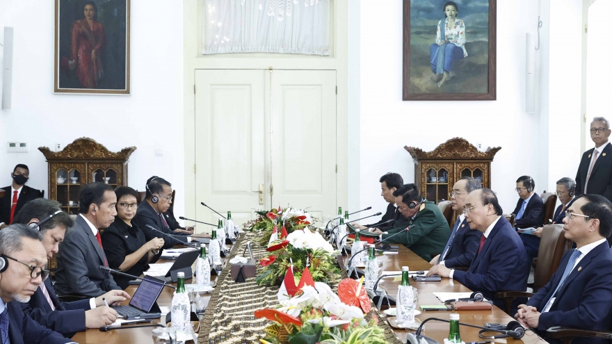 Chủ tịch nước Nguyễn Xuân Phúc hội đàm với Tổng thống Indonesia Joko Widodo