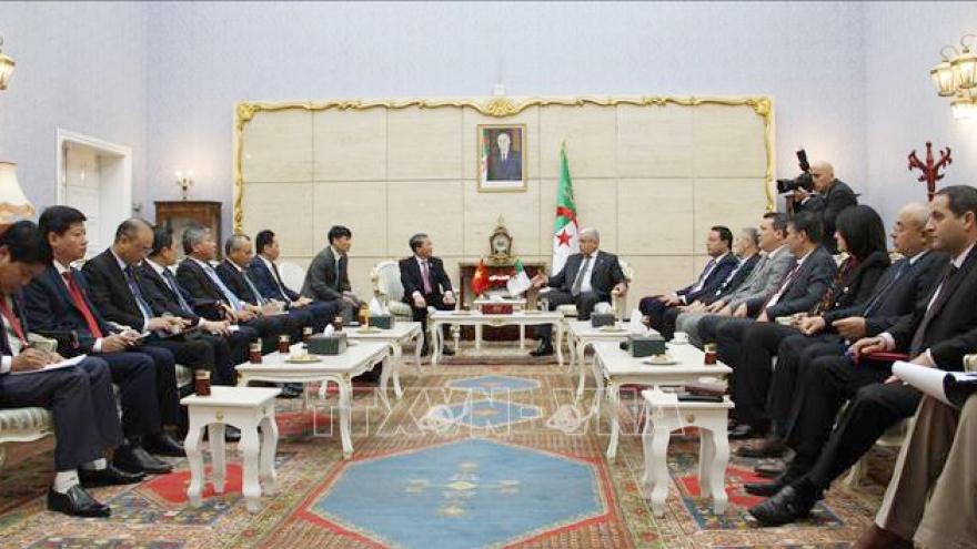 Algeria mong muốn hợp tác với Việt Nam về năng lượng, nông nghiệp và y sinh