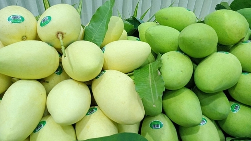 Vietnam ranks third among largest mango suppliers to RoK