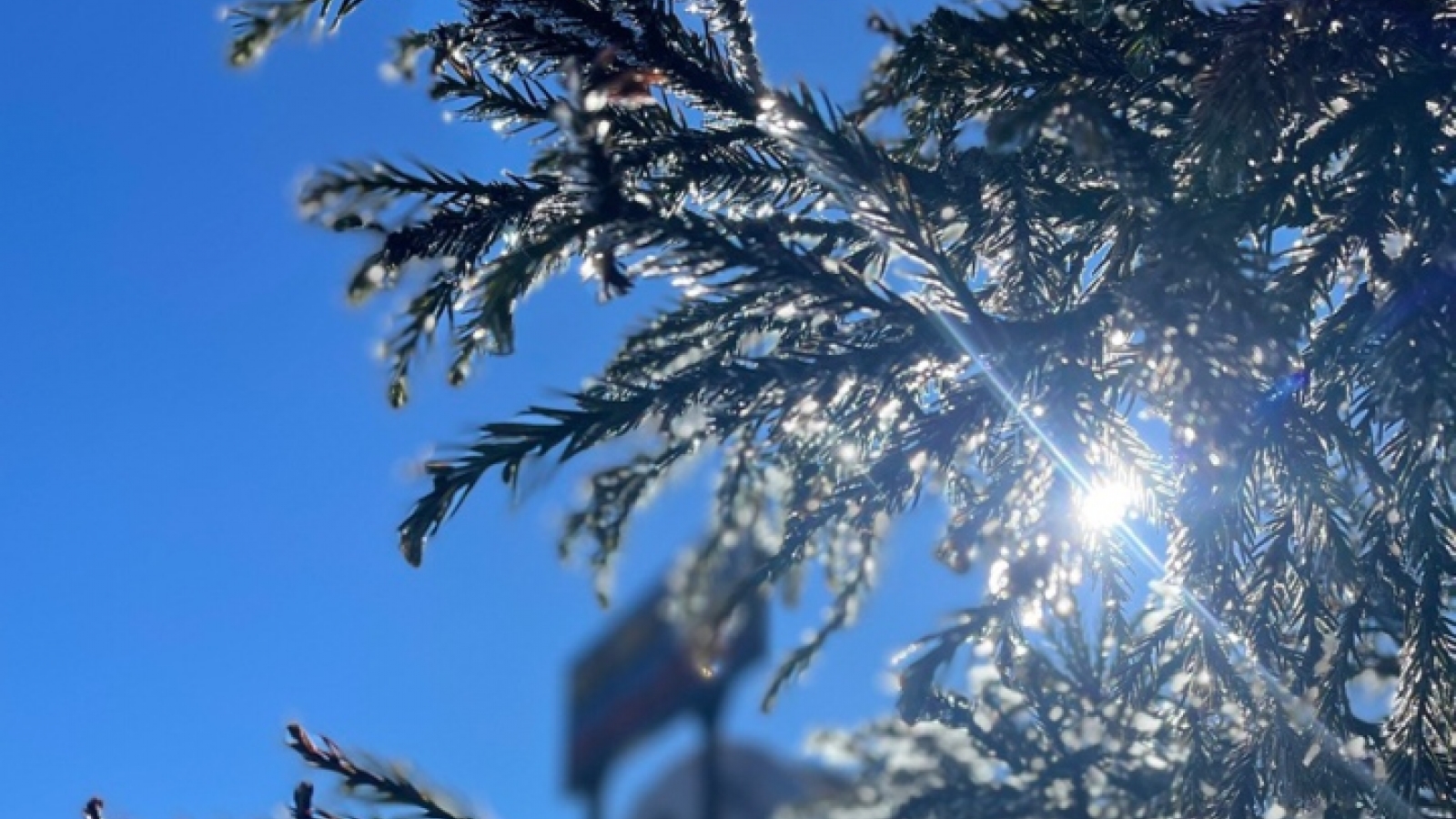 Temperatures falls below zero, ice and frost recorded on Fansipan Mt peak