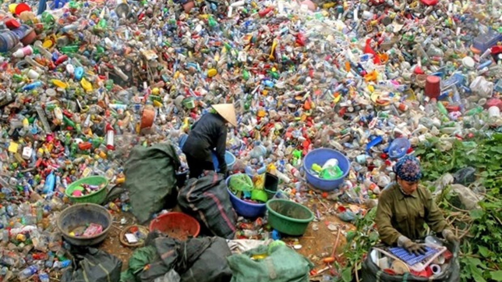 Fees charged for recycling to take effect in 2024
