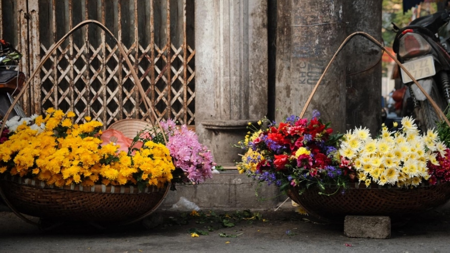 Colourful flowers adorn streets of Hanoi in wintertime