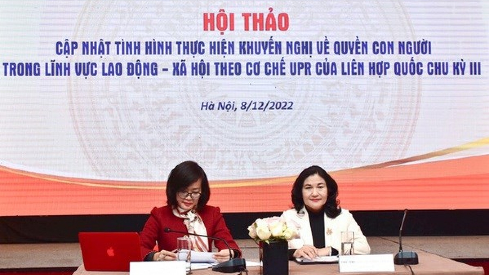 Human rights in labour, social, gender equality under scrutiny