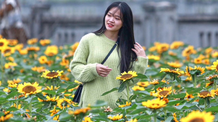 Hàng nghìn du khách đổ về Mê Linh trong ngày khai mạc lễ hội hoa lớn nhất Thủ đô