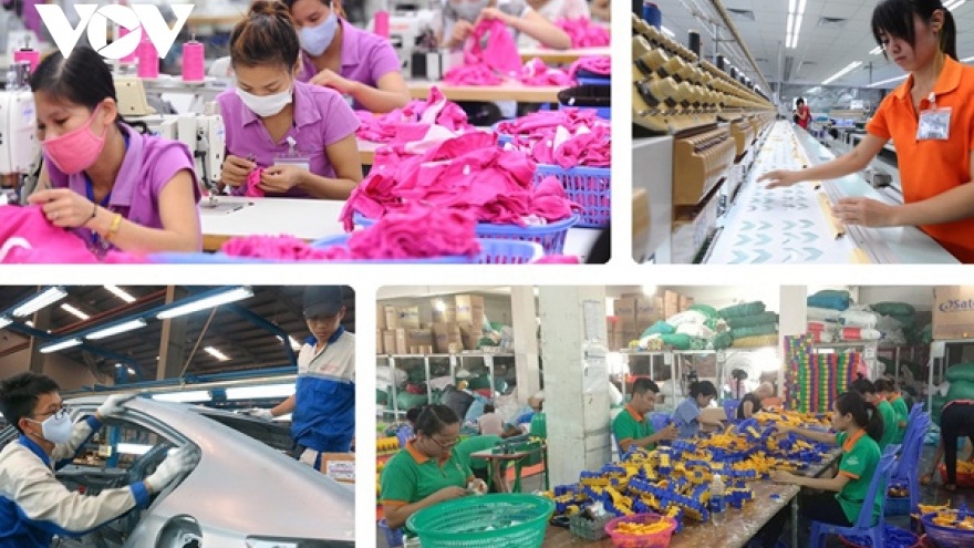 Vietnamese GDP growth of 8.02% highest for 11 years