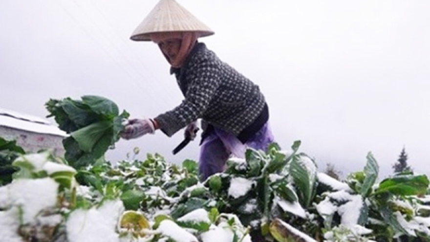 Chuyên gia: Rét đậm, rét hại, băng giá có thể xảy ra ở Bắc Bộ vào cuối tuần