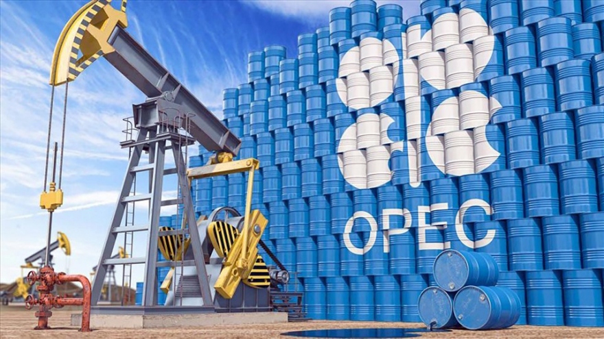 OPEC+ giữ nguyên mức cắt giảm sản lượng dầu 2 triệu thùng/ngày