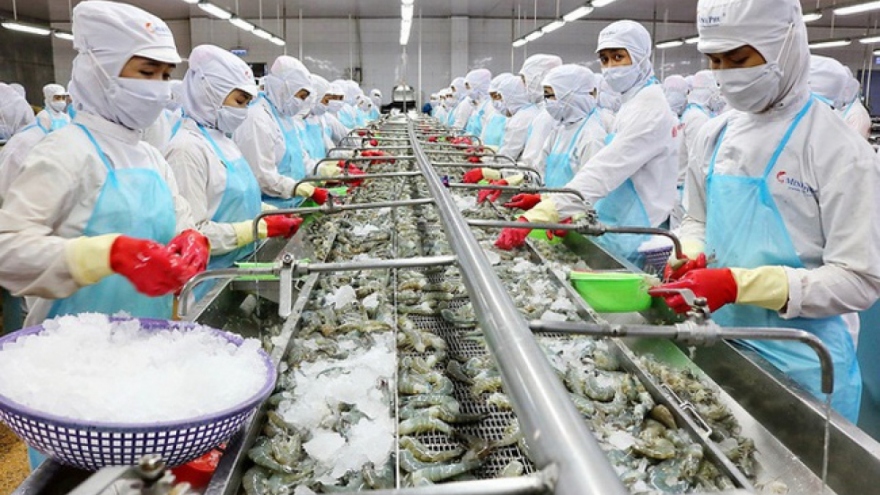 Shrimp exports to Chinese market increased by 50% in October