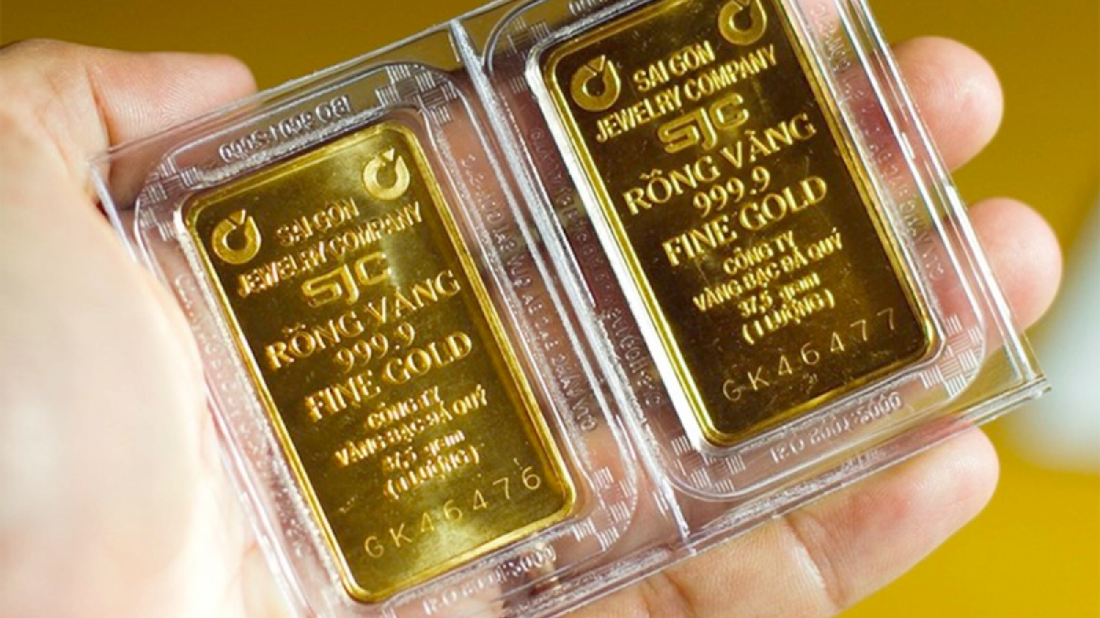 Giá vàng trong nước ổn định quanh mốc 67 triệu đồng/lượng