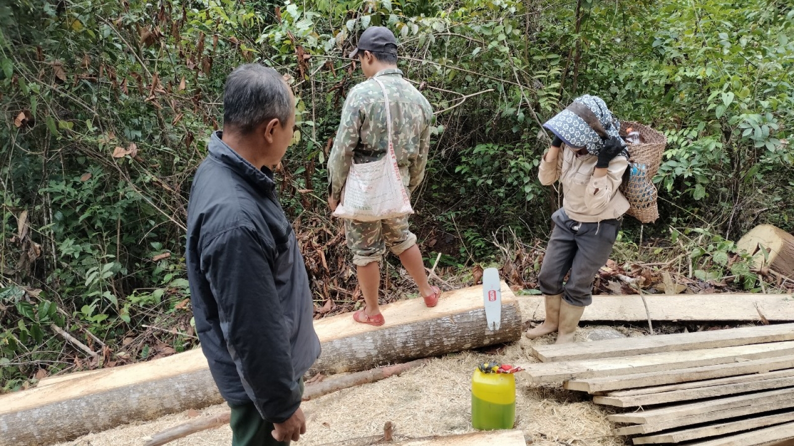 Xử phạt gần 20 triệu đồng 1 đối tượng mang cưa xăng ngang nhiên phá rừng