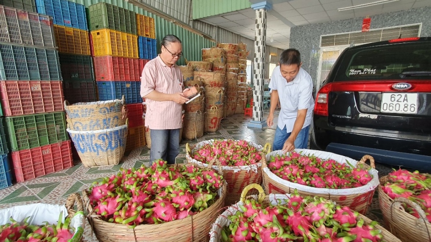 Doanh nghiệp nông sản “loay hoay” khi Trung Quốc mở cửa khẩu