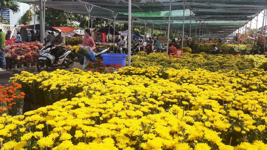 Thị trường hoa kiểng Tết ở Tiền Giang "người cười, kẻ khóc"