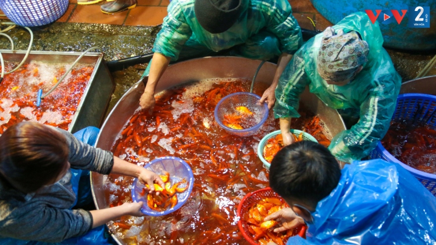  Nhộn nhịp xuyên đêm chợ “phương tiện” tiễn Táo quân về trời