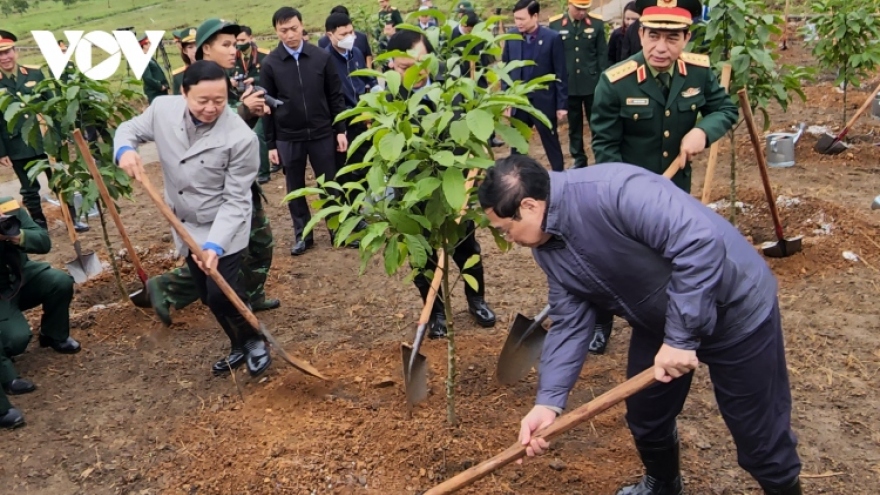 PM launches tree planting festival in lunar New Year