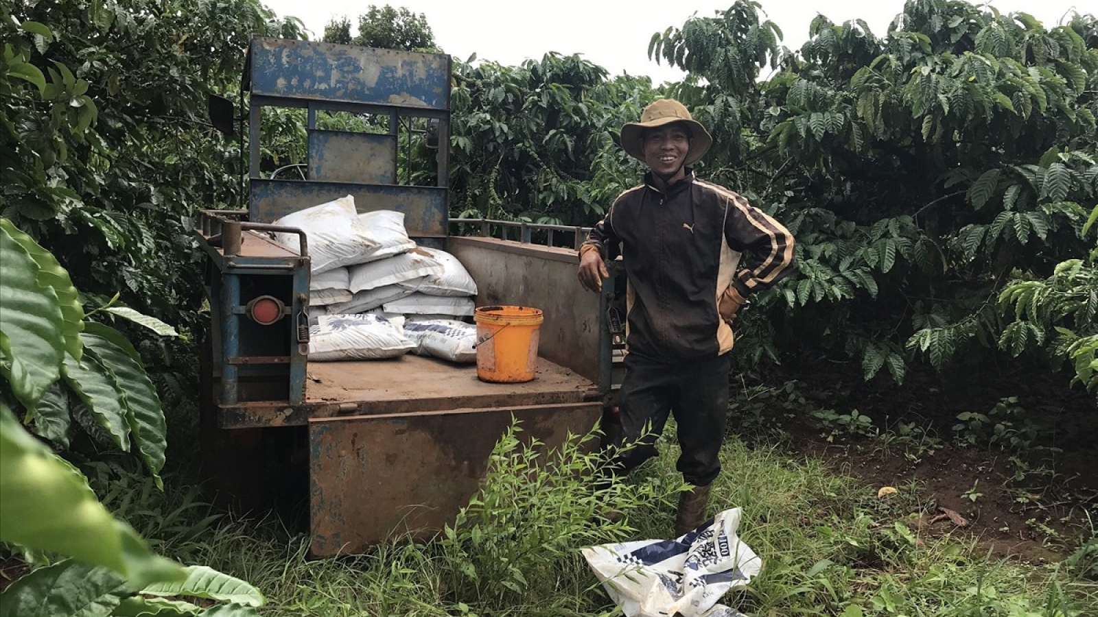 Bà con Ba Na xóa đói giảm nghèo nhờ làm cà phê sạch