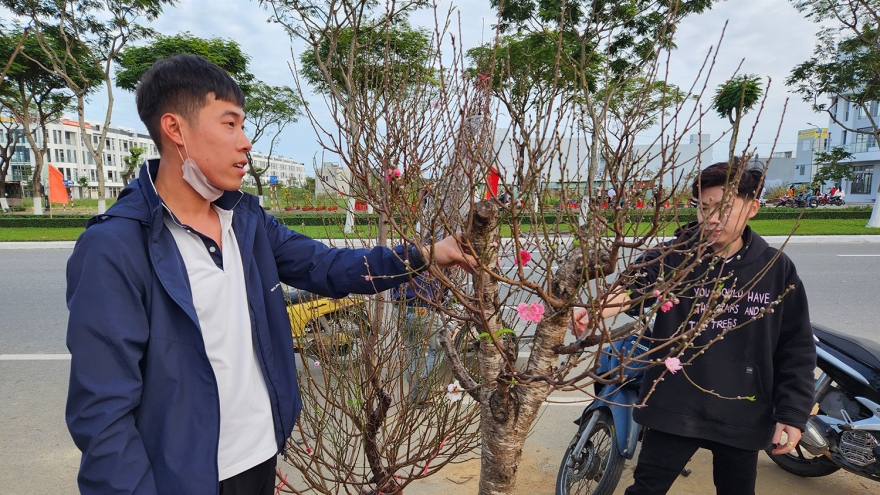 Hoa, cây cảnh ngày Tết: Vạn người bán, chục người mua