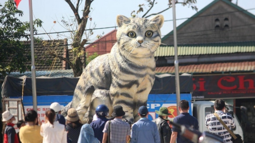 Người làm linh vật "mèo hoàng hậu" ở Quảng Trị khiến dân mạng trầm trồ là ai?