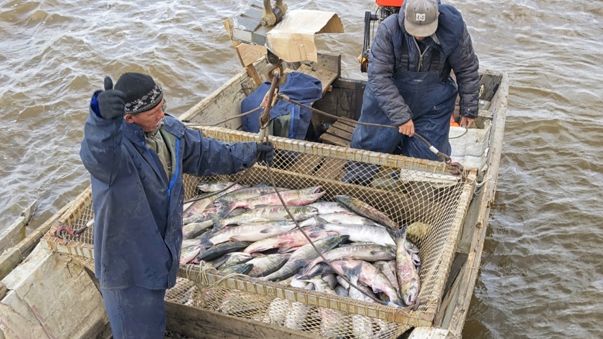 Nga hủy đàm phán với Nhật Bản về Thỏa thuận đánh bắt cá gần quần đảo tranh chấp