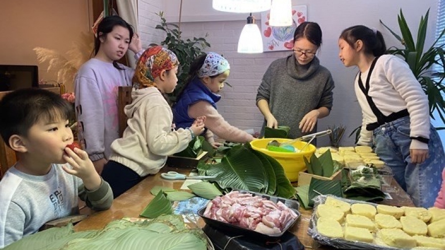 Overseas Vietnamese considered ambassador bringing Vietnam to the world