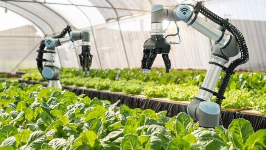 Science, technology, innovation to contribute over 50% to agricultural growth by 2030
