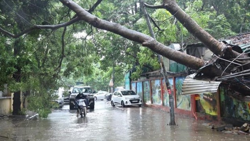 Fewer storms to hit Vietnam this year