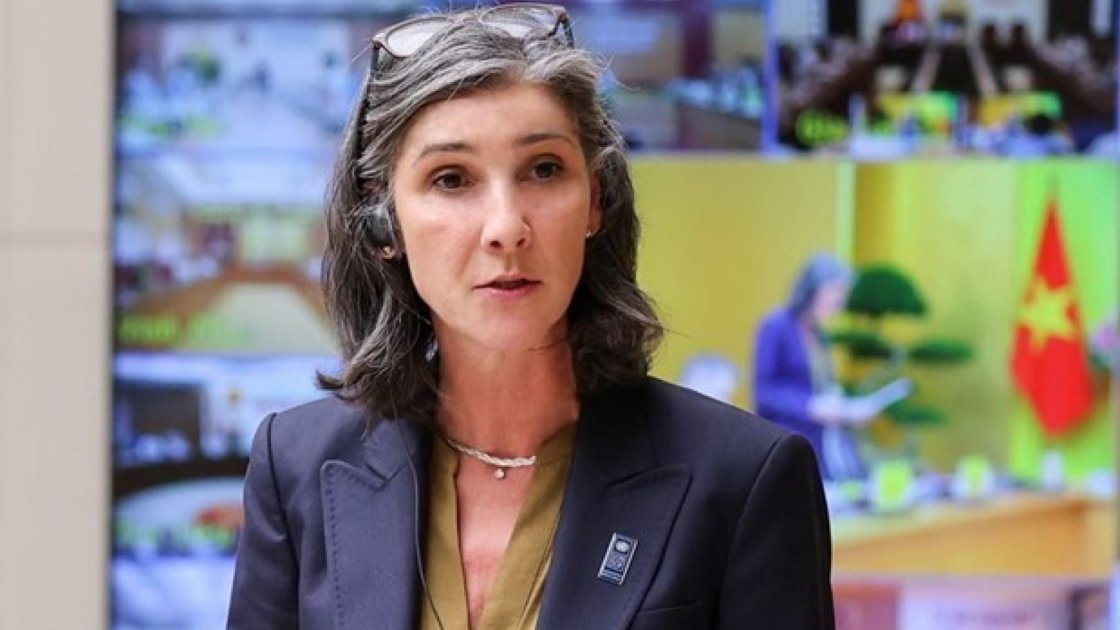 UNDP pledges to support Vietnam in green energy transition