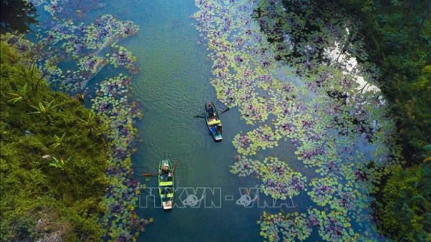 World Wetlands Day 2023 to be observed in Vietnam with various activities