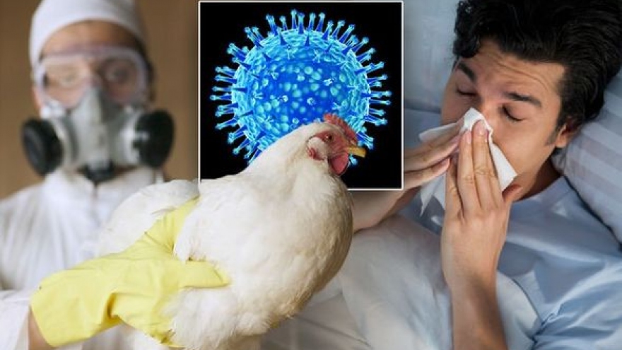 Mức độ nguy hiểm của cúm gia cầm H5N1